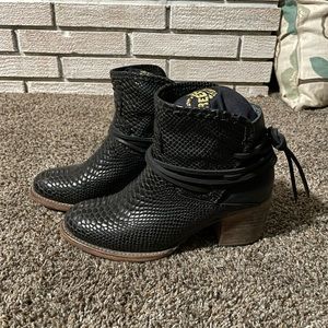 Freebird by Steven Casey